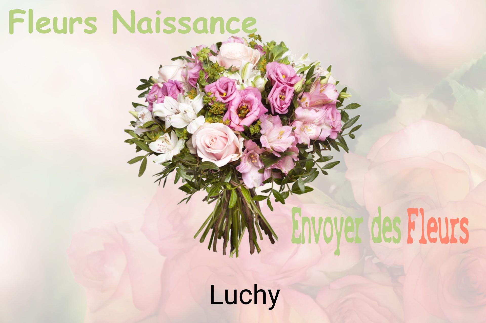 Bouquet de fleurs de naissance livré à Luchy