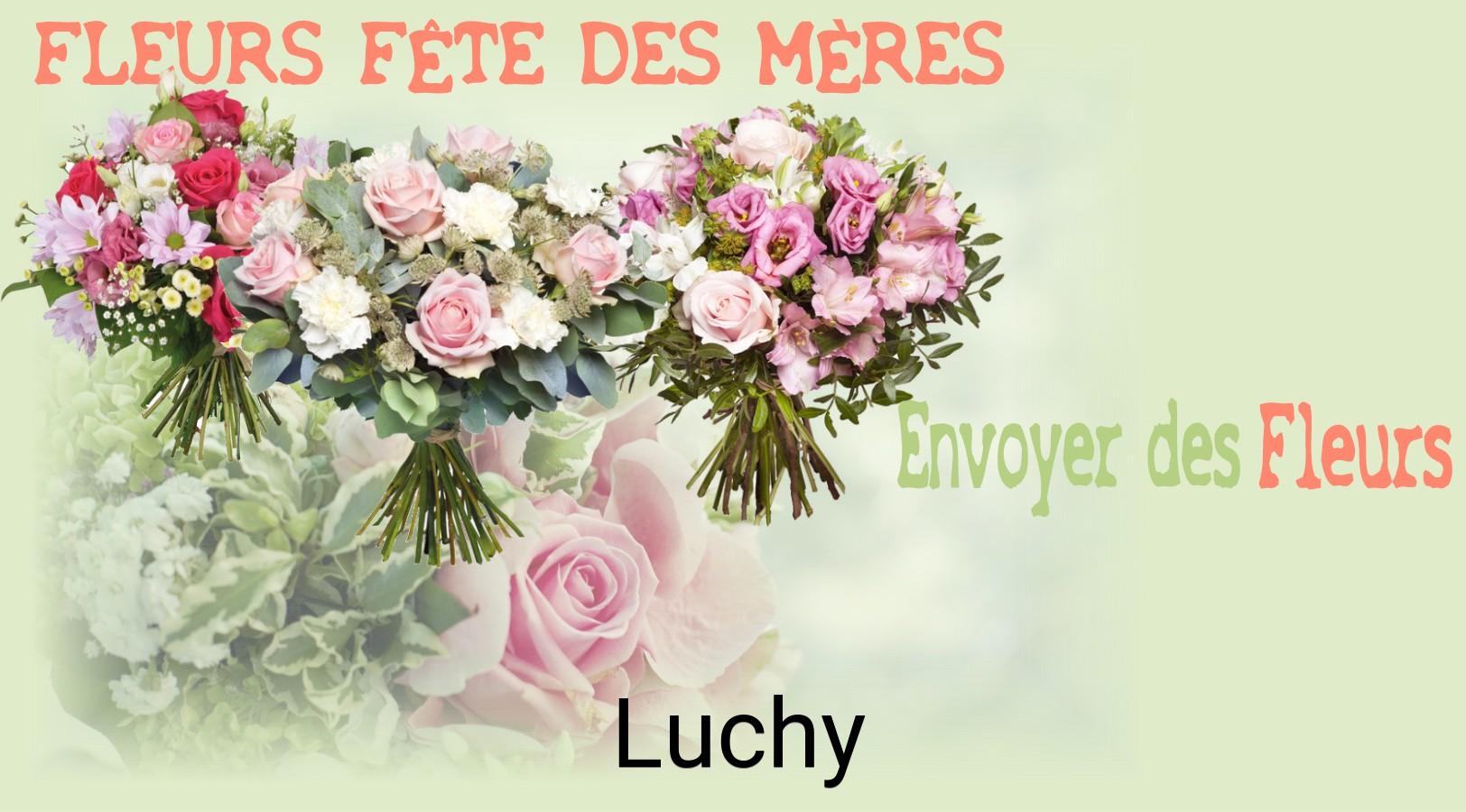 Bouquet de Fête des Mères livré à Luchy
